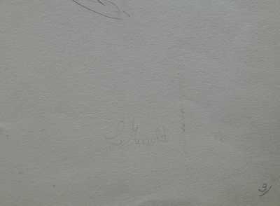  / Studie ryby / Luděk Marold