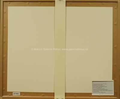  / Z Paříže / František Tavík Šimon