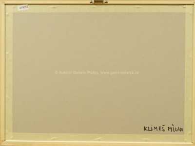  / Hlava / Milan Klimeš