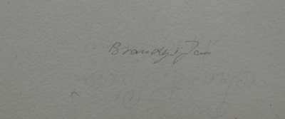  / Na nástupišti / Jan Adolf  Brandeis