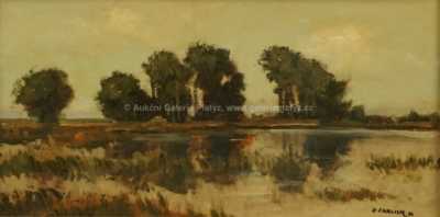  / U rybníka / Ladislav Ehrlich