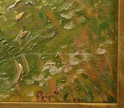  / Rozkvetlý šípek / Gustav  Porš