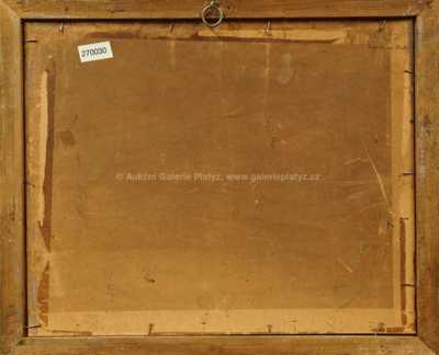  / Rozkvetlý šípek / Gustav  Porš