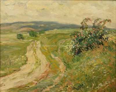  / Rozkvetlý šípek / Gustav  Porš