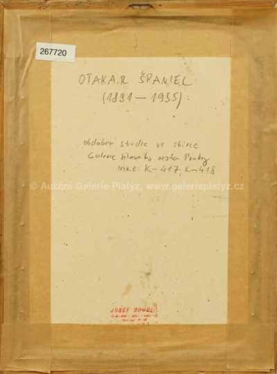  / Studie dívky / Otakar Španiel