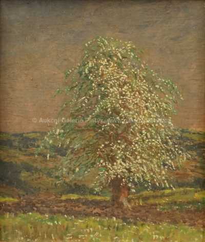  / Rozkvetlý strom / Jan Honsa