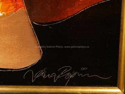  / Dívka v červeném / Jan Rapin