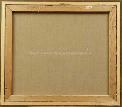  / Zahrada / Vladimír Komárek