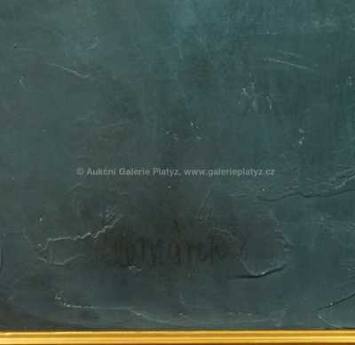  / Zahrada / Vladimír Komárek