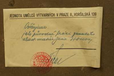  / Bříza před roubenkou / Jan Honsa