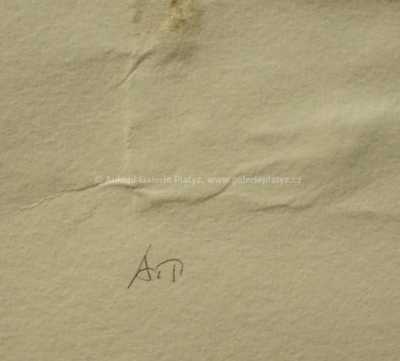  / Celý rok / Olbram Zoubek