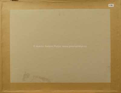  / Kolekce předmětů / Pablo Picasso