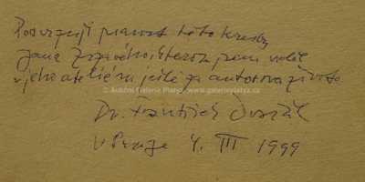  / Bárky na pobřeží / Jan  Zrzavý