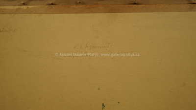  / Krajní chalupa v Radlíně / Karel Jan Sigmund