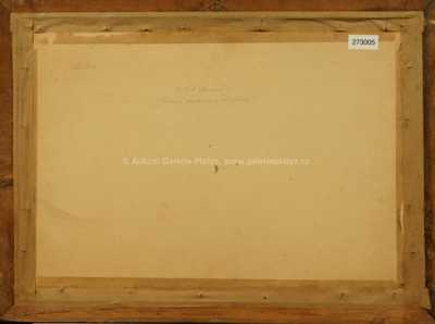  / Krajní chalupa v Radlíně / Karel Jan Sigmund