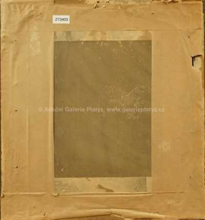  / Studie / Jan  Novopacký