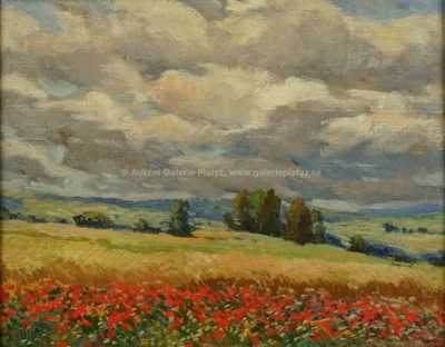  / Makové pole / Stanislav Lolek