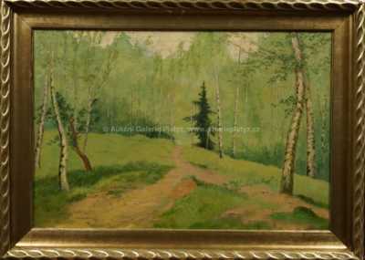Jan B. Minařík - Cesta břízami