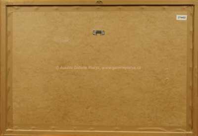  / Mercedes / Václav Zapadlík