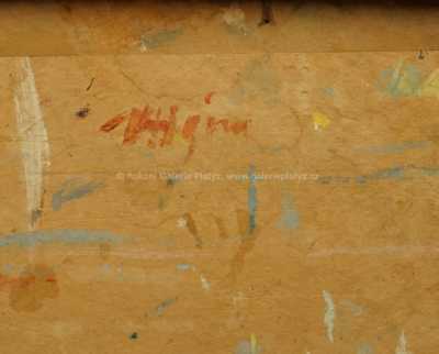  / Akt / Václav Hejna