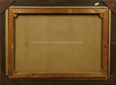  / Zimní Praha / Stanislav Feikl