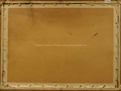  / Malostranské náměstí /   Autor neurčen