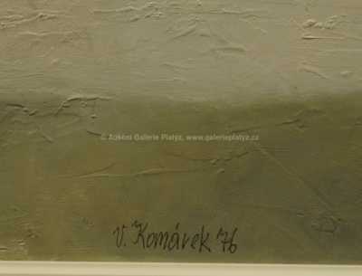  / Zátiší s květinami / Vladimír Komárek