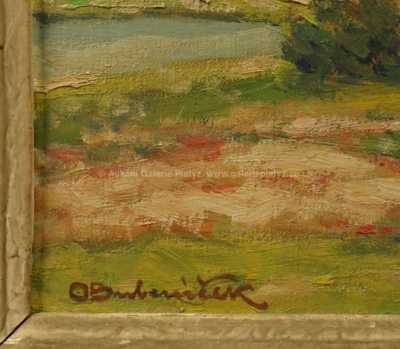  / Vesnička ve svahu / Ota Bubeníček