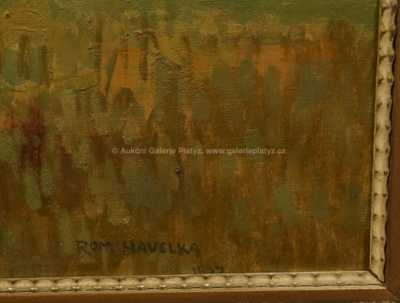  / Pole v podhůří / Roman Havelka