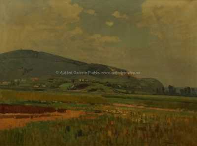  / Pole v podhůří / Roman Havelka