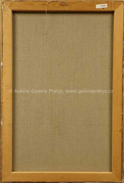  / Bilí ptáci / Vladimír Komárek