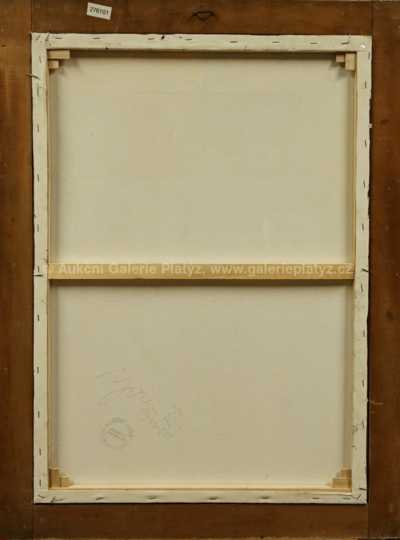  / Dívky s bílými květy / Robert Jiran