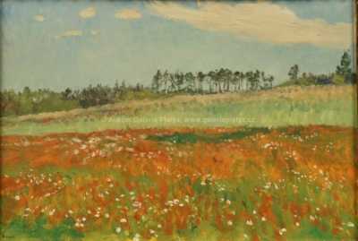  / Letní krajina / František Kaván