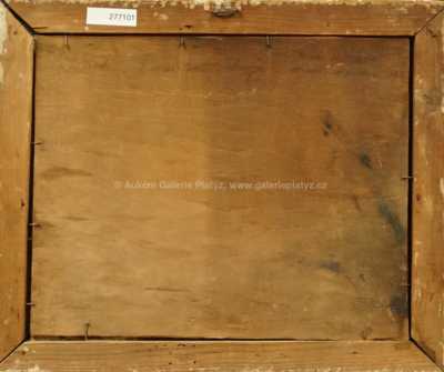  / Dalmátské pobřeží / Josef Král