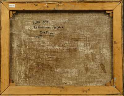  / Sněženky / Josef Jíra