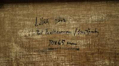  / Sněženky / Josef Jíra