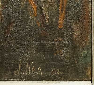  / Sněženky / Josef Jíra