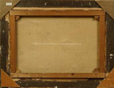  / Říčka v zimě / Gustav  Porš