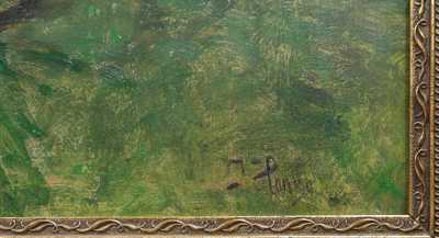  / Kvetoucí pláň / Jan Honsa