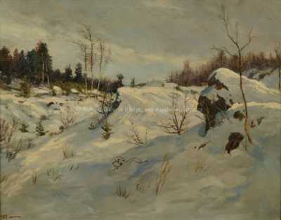  / Zima na Vysočině / Gustav  Porš