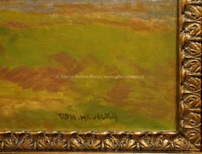  / Údolí Dyje / Roman Havelka