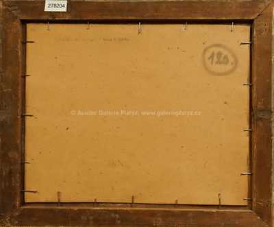  / Louka u vody / Jindřich Fürst