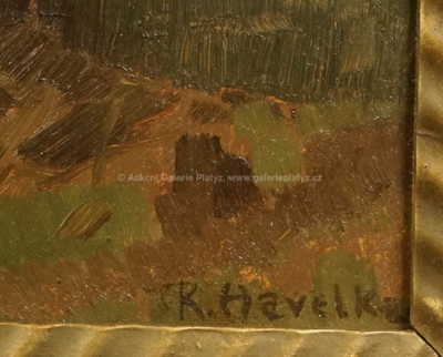  / Skály / Roman Havelka