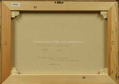  / Šťastný Jamrtál / J.S. Jaroslav Šolc