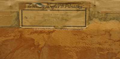  / Krajina s mlýnem / Amalie Mánesová