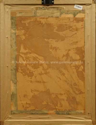  / Krajina s mlýnem / Amalie Mánesová