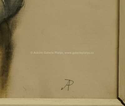  / Dívka s ošatkou / Antonín Procházka