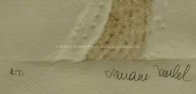  / Thamar / Olbram Zoubek