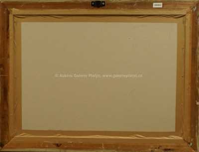  / Na poli / František Daněk - Sedláček