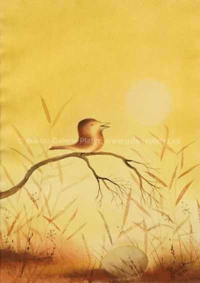  / Ptáček a vejce / Ota Janeček